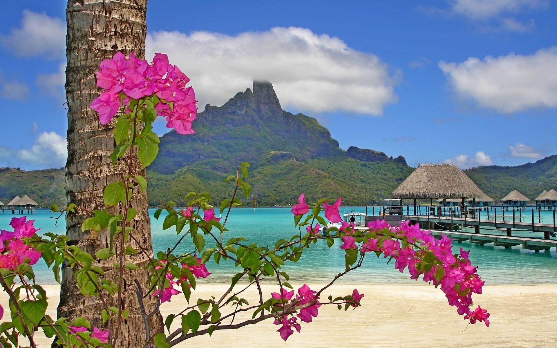 ilhas natureza viajar céu verão árvore tropical água bela paisagem flor ao ar livre mar férias turismo praia ilha montanha mar