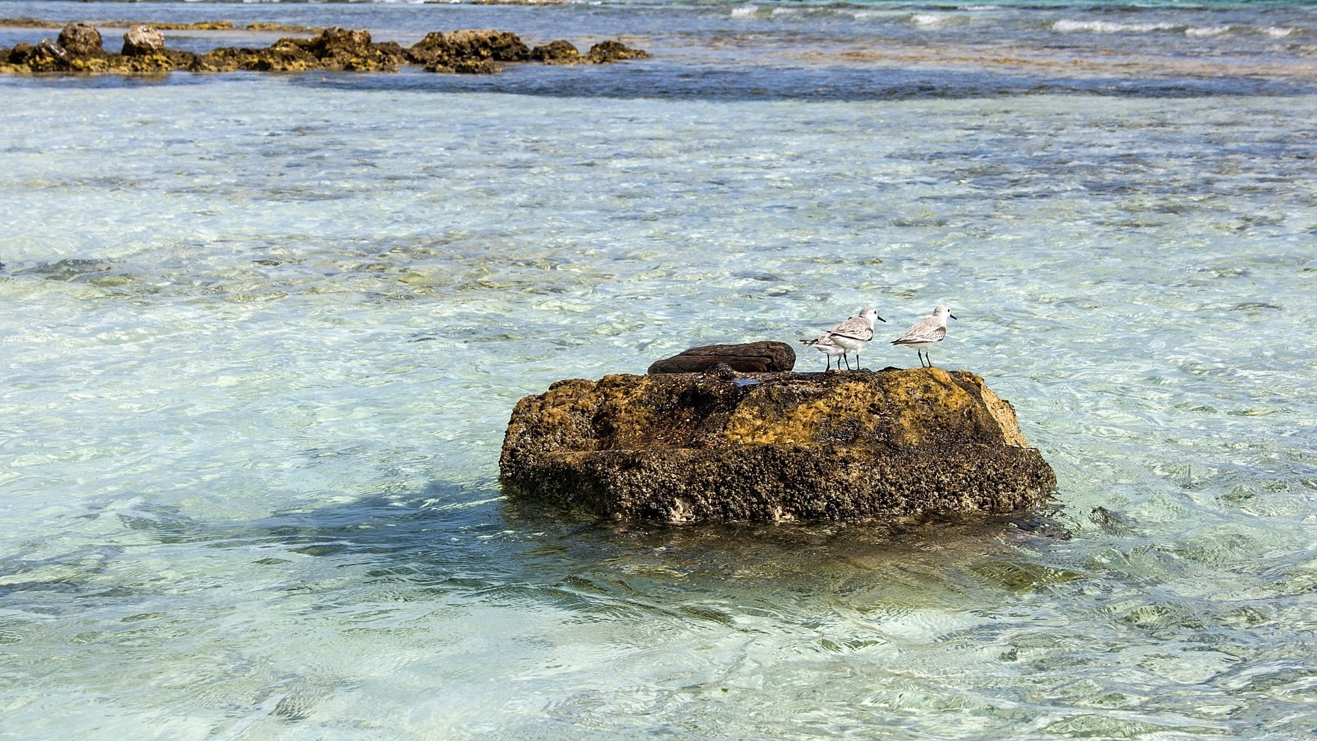 ilhas água mar mar oceano praia viagens ao ar livre rocha ilha onda paisagem paisagem areia natureza surf verão costa férias