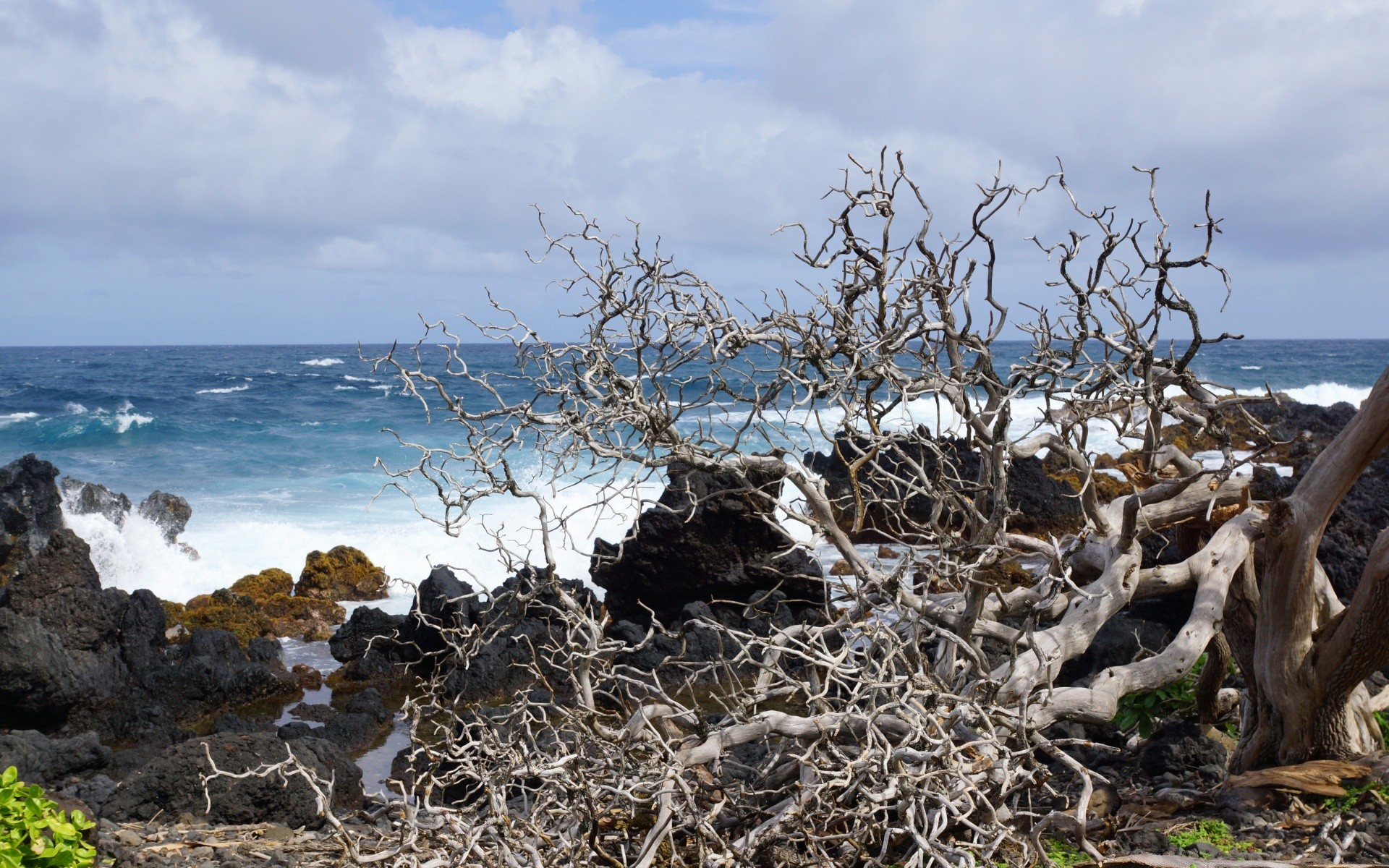 isole natura acqua paesaggio cielo albero viaggi mare all aperto mare ambiente oceano