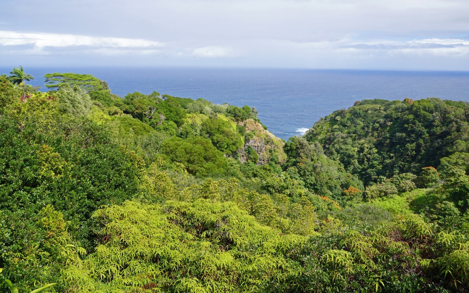 îles nature paysage arbre voyage montagnes tropical ciel bois été colline eau à l extérieur forêt tropicale flore scénique spectacle belle herbe