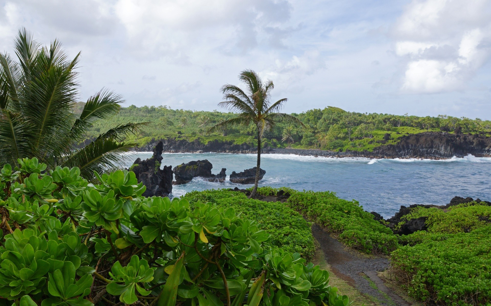 île eau mer plage arbre voyage tropical île océan paysage mer nature été palm lumière du jour tourisme vacances scénique ciel à l extérieur