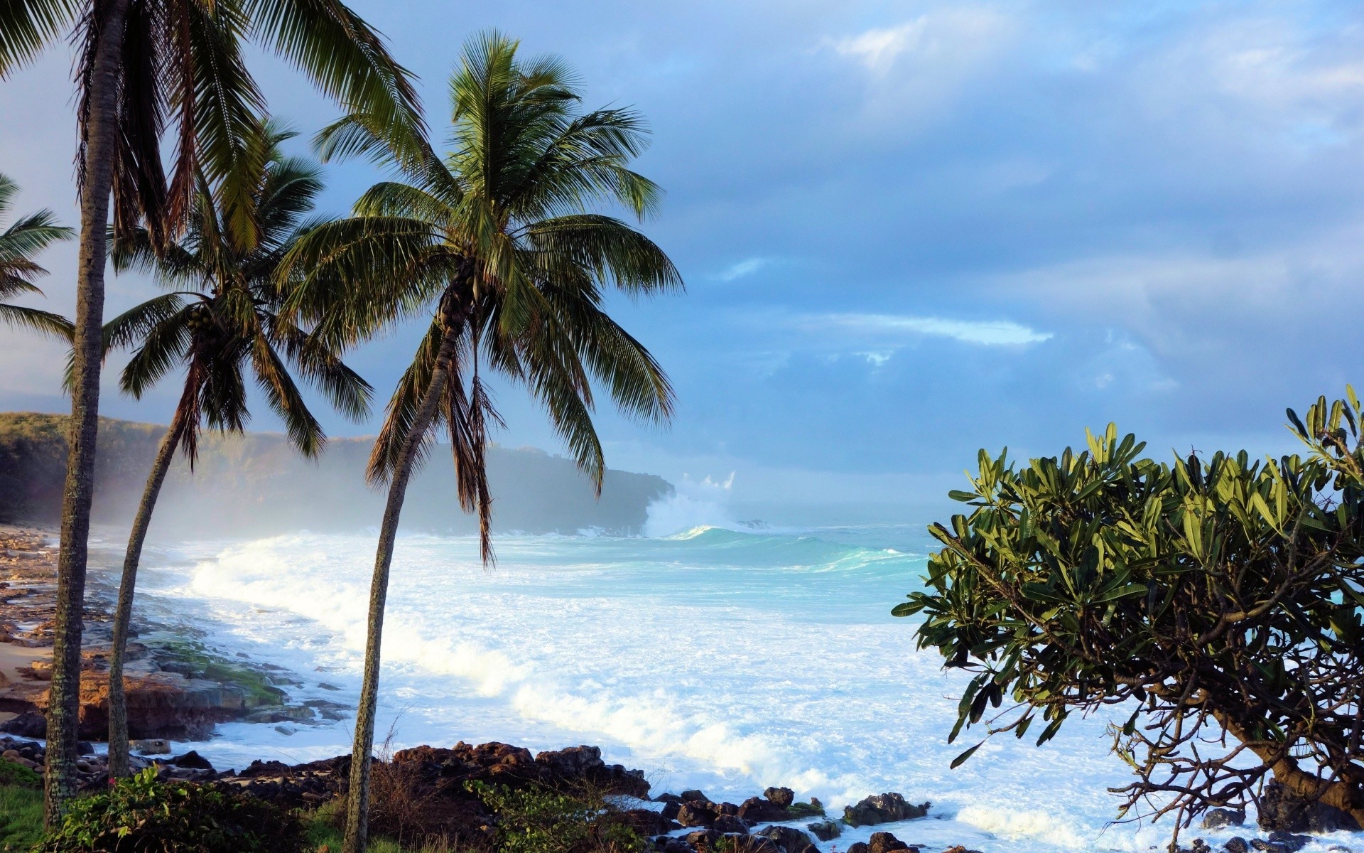 islands beach tropical seashore palm ocean island sand travel paradise vacation tree exotic seascape coconut resort water sea summer sun idyllic