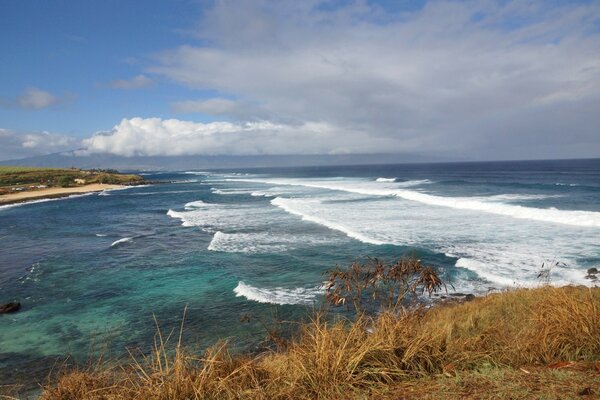 Surf en la playa azul