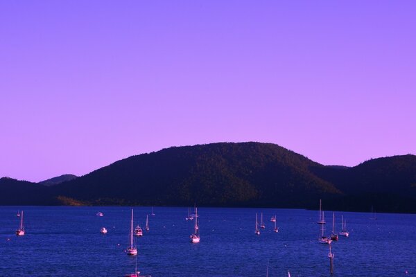 Paysages marins d Australie et d Océanie