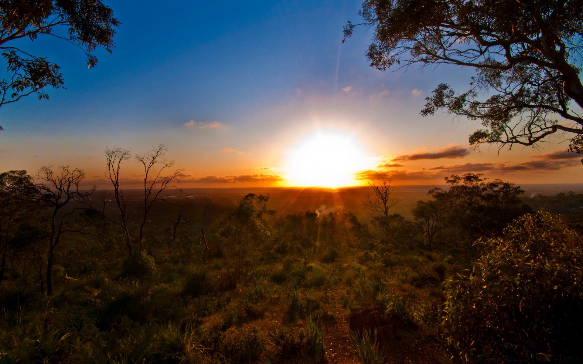 australia y oceanía puesta de sol amanecer sol paisaje noche árbol cielo naturaleza crepúsculo iluminado silueta buen tiempo luz al aire libre