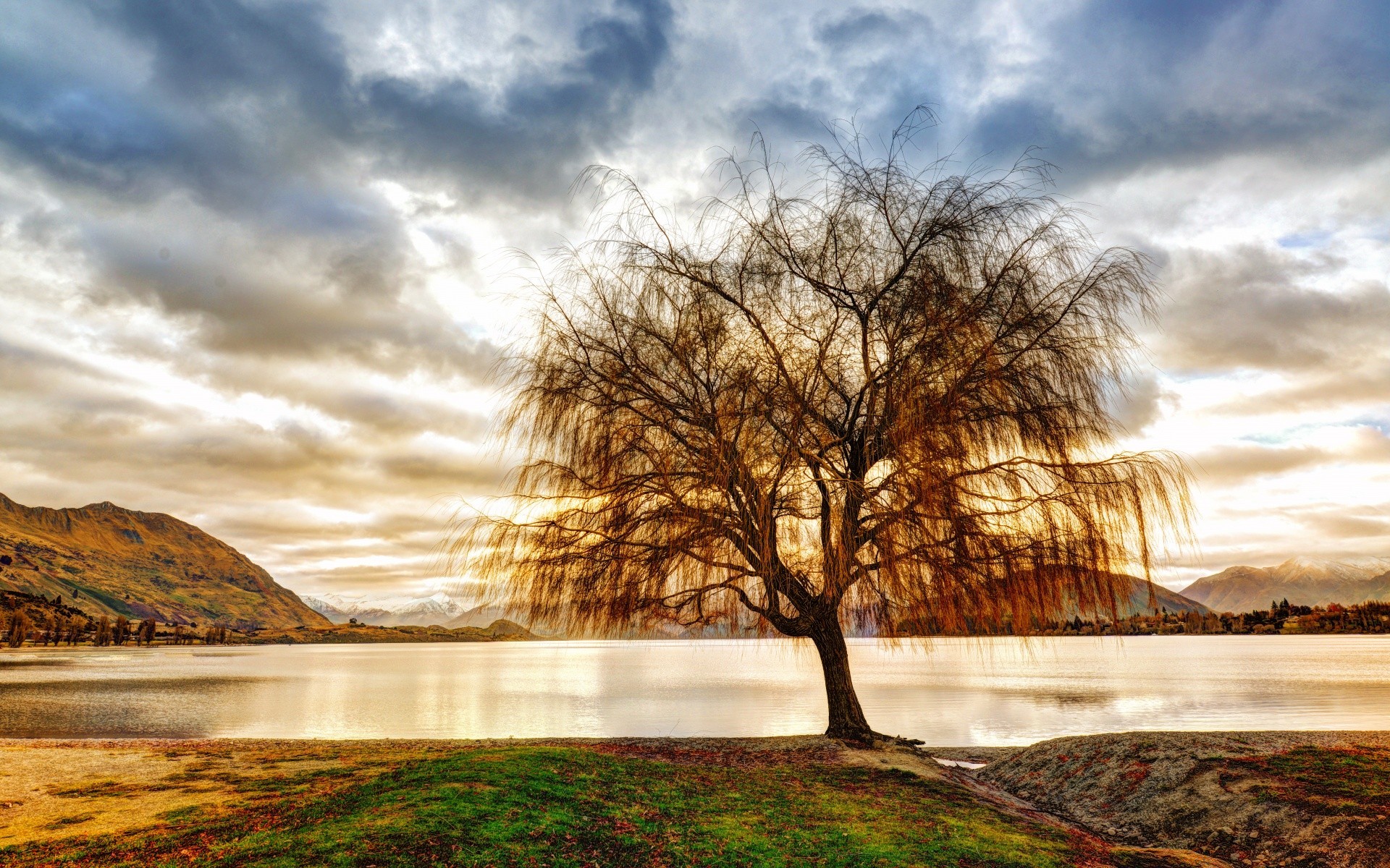 australia and oceania landscape nature tree dawn water sunset sky fall wood evening sun cloud lake