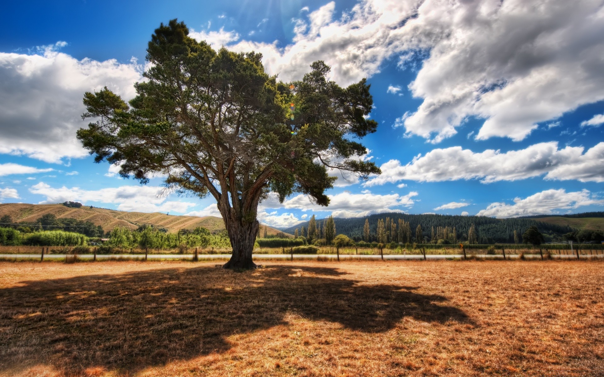 australie et océanie arbre paysage nature ciel herbe champ bois extérieur agriculture été rural nuage voyage ferme pittoresque foin pays campagne sol