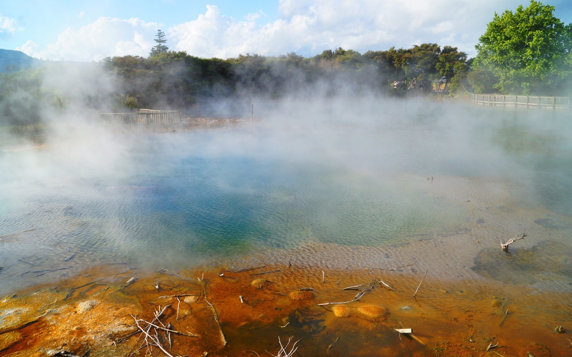 australia e oceania vapore primavera calda acqua geyser nebbia eruzione paesaggio nebbia fumo vulcano all aperto lago zolfo incrostato termico caldo viaggi natura arcobaleno