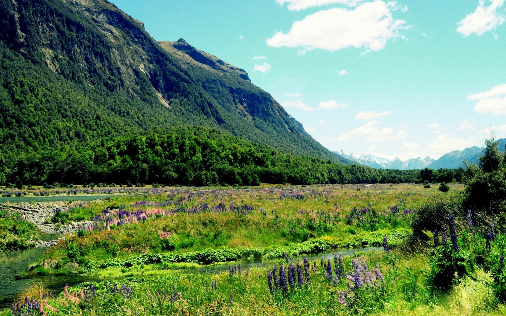 australien und ozeanien natur landschaft im freien berge reisen sommer gras himmel holz hügel landschaftlich landschaftlich landschaftlich landschaftlich holz heuhaufen feld