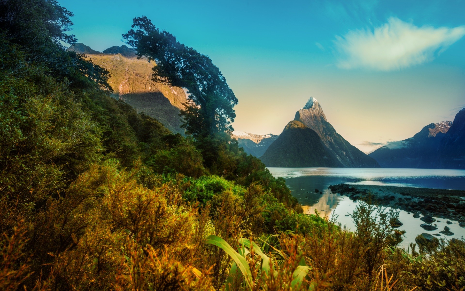 australia and oceania travel mountain landscape water nature sky outdoors tree scenic wood seashore sunset