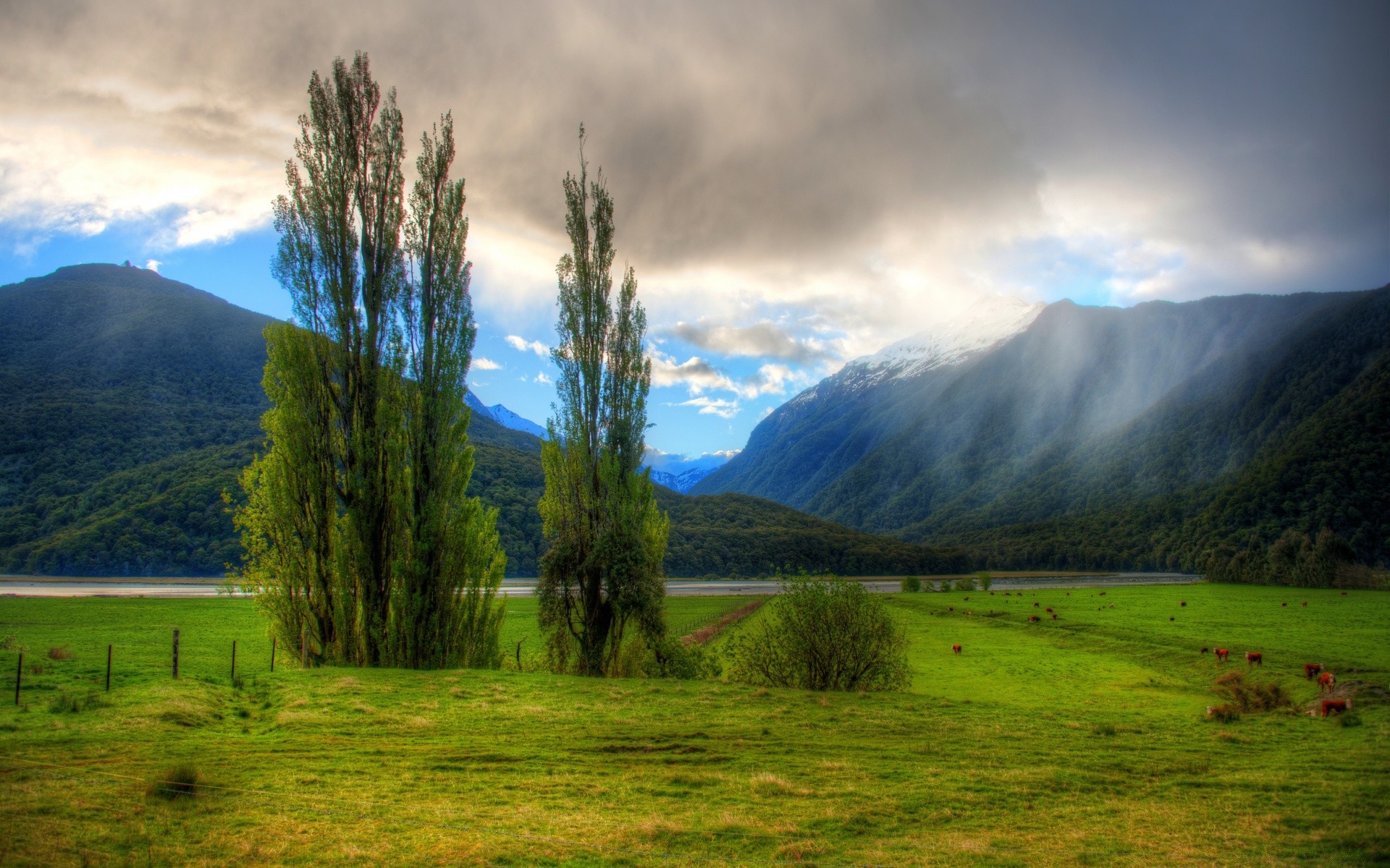 australia y oceanía paisaje naturaleza montaña al aire libre árbol hierba cielo viajes campo niebla amanecer verano madera puesta del sol