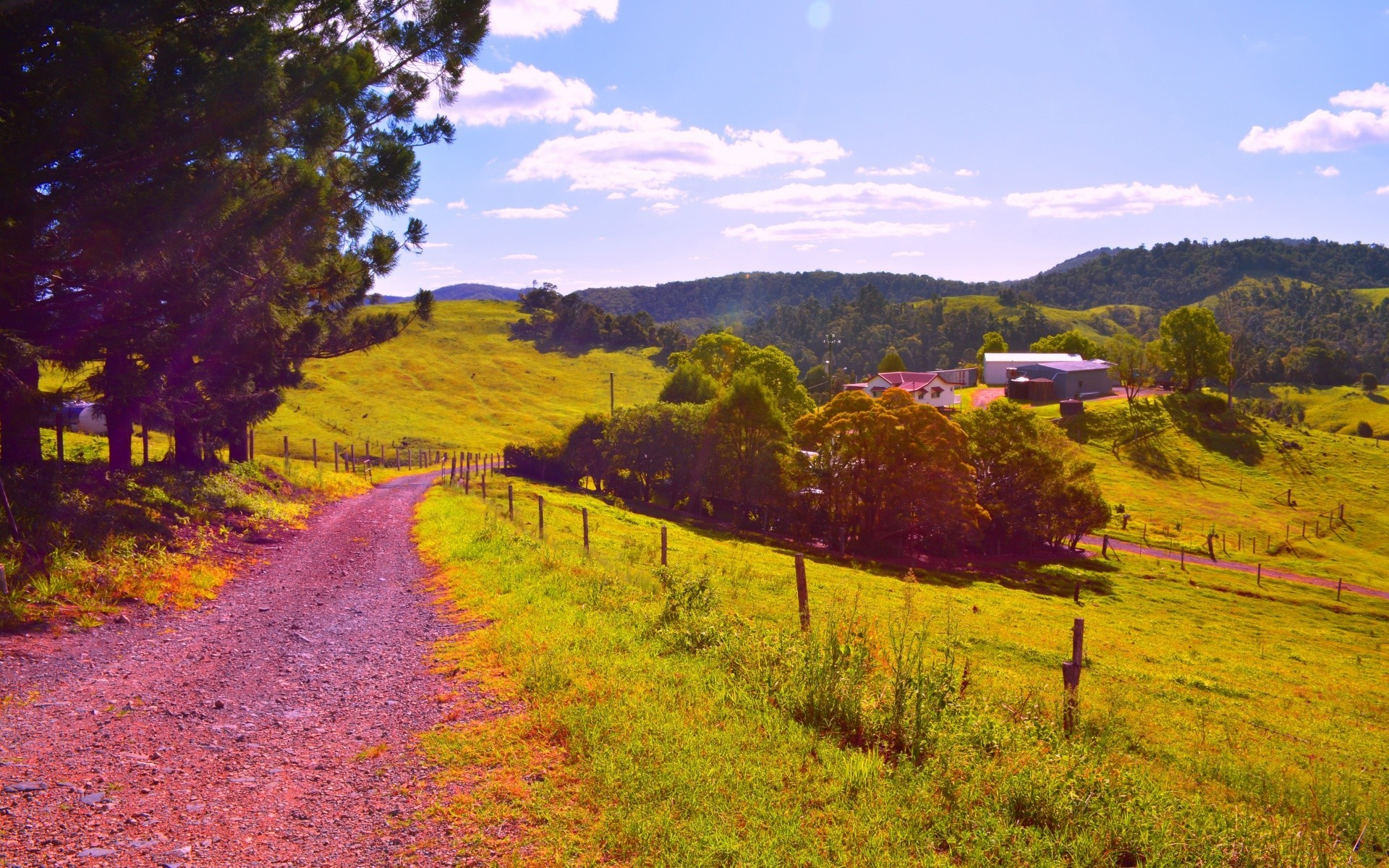 australia and oceania landscape tree nature scenic fall outdoors wood travel sky grass mountain season hill leaf environment road countryside summer park