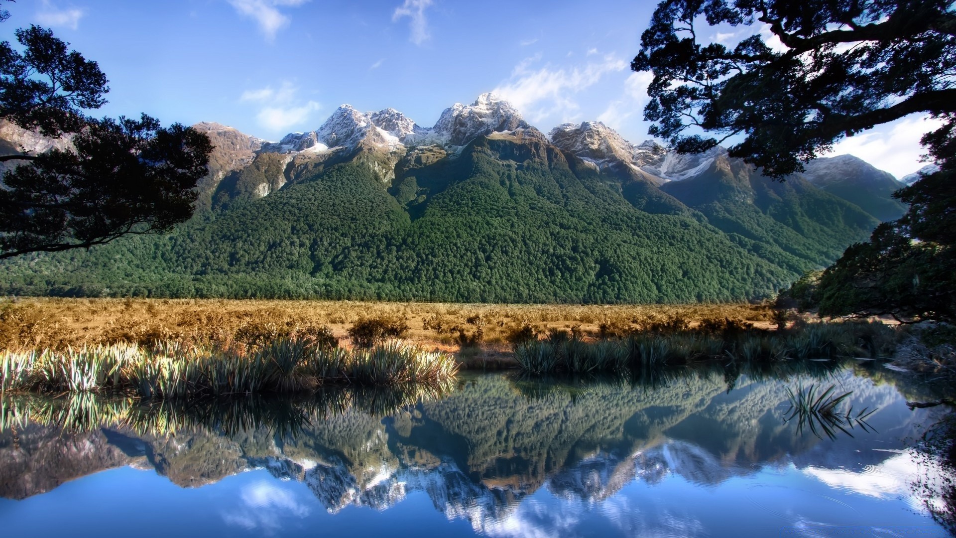 australie et océanie eau paysage voyage nature ciel à l extérieur montagnes scénique bois lac bois réflexion rivière