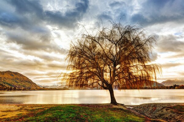 Einsamer Baum in der Nähe eines Sees inmitten der Berge vor dem Hintergrund des Sonnenuntergangs