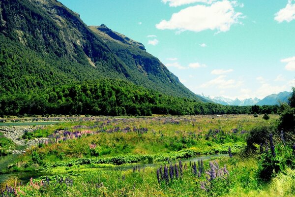 Paisaje colorido de la montaña y el océano