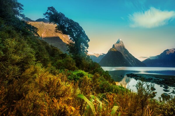 Inspiring nature under a blue sky