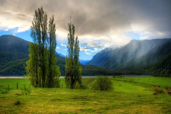 Traveling around Australia is rediscovering the world