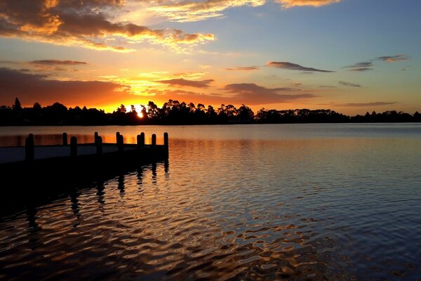 Hamilton Lake. New Zealand