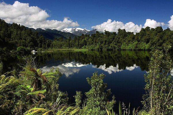 Green forest, beautiful lake and blue sky