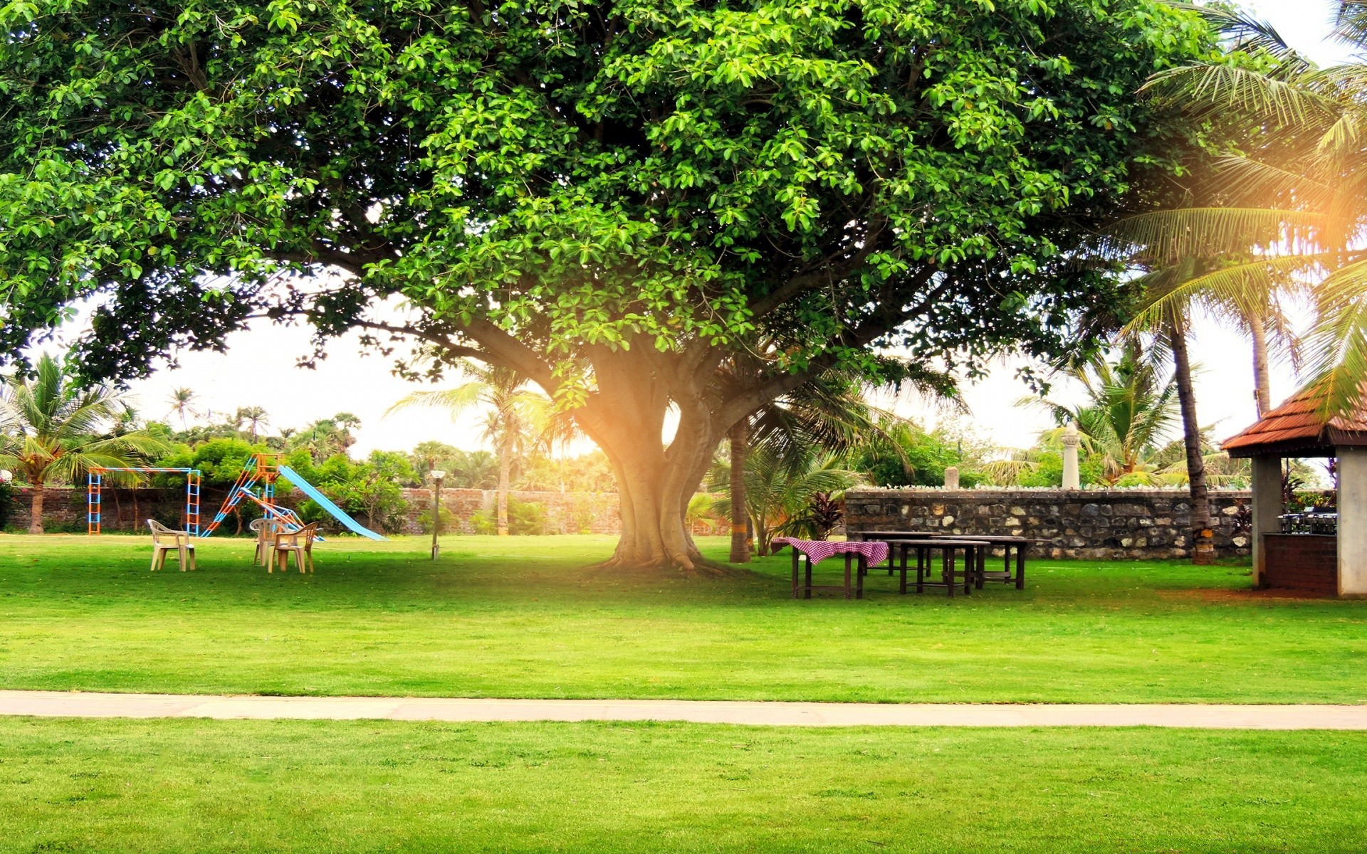 altre città albero erba estate giardino legno parco natura prato paesaggio all aperto flora viaggi bello tempo libero legno tempo libero spettacolo