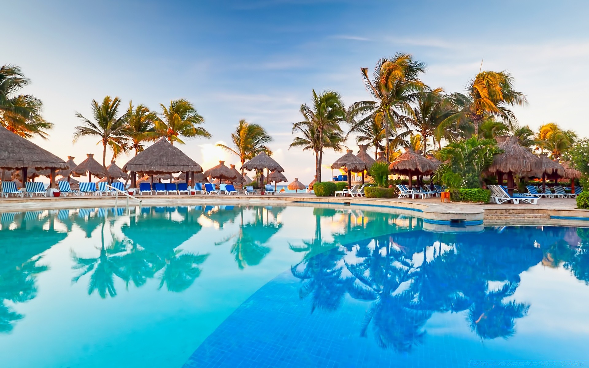 andere städte resort tropisch hotel palmen urlaub schwimmbad exotisch luxus reisen strand entspannung schwimmbad schwimmen wasser paradies urlaub idylle insel villa meer