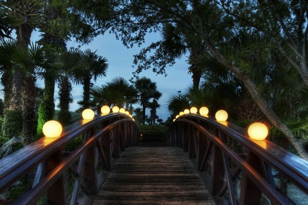 Ponte con lanterne luminose tra gli alberi