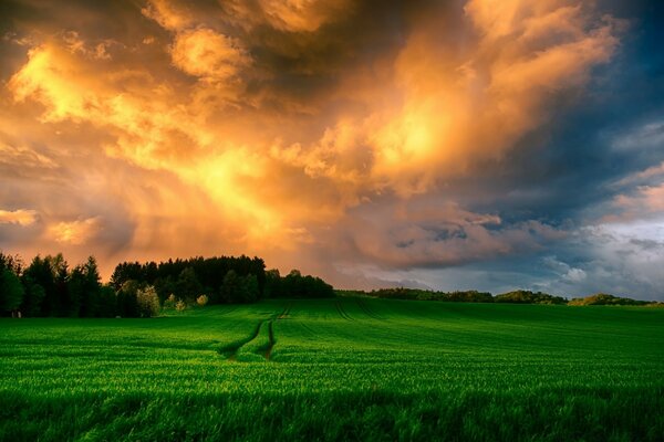 Rural landscape of a field against a cloudy sky