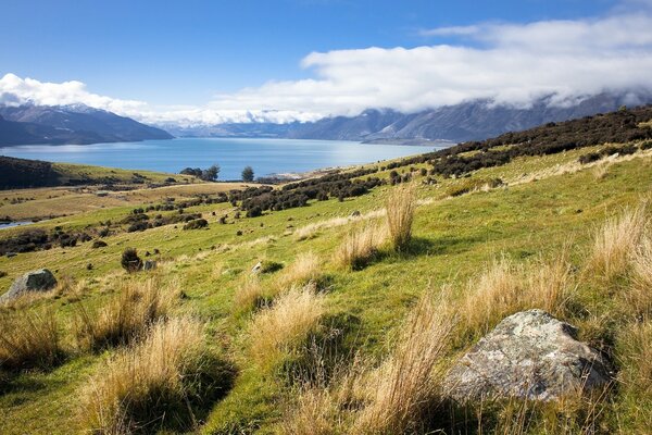 Paisaje de la naturaleza en el hermoso fondo del mar