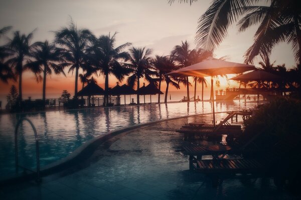 Plage de vacances avec des arbres tropicaux sur fond de coucher de soleil